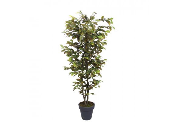YAPAY KRATON AĞACI 170 CM